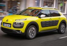 C4 Cactus 2016