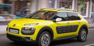 C4 Cactus 2016