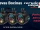 Bocinas Cerwin Vega